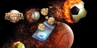 Everything You Need to Know About Online Bingo 7 Everything You Need to Know About Online Bingo 7